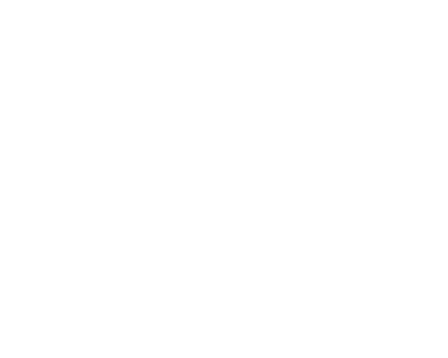 Aliso Niguel AN interlock logo